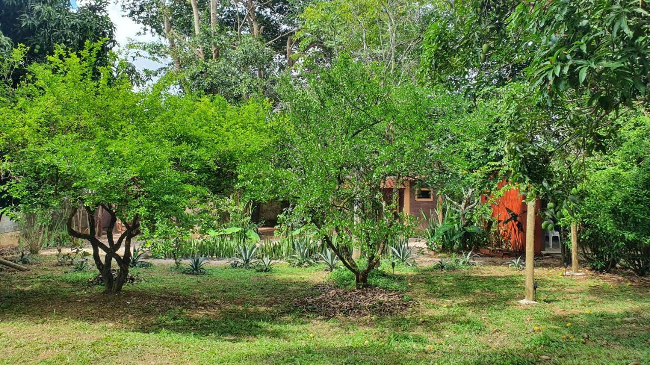 Free Soul House - Localizacao Ideal No Centrinho Alto Paraíso de Goiás Exterior foto
